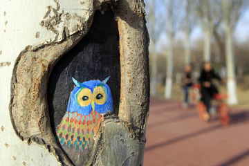 "رسوم كهوف الاشجار" تزين حديقة العنقاء فى مقاطعة نينغشيا