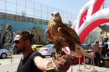 افتتاح أول معرض للزهور والطيور النادرة في الضفة الغربية