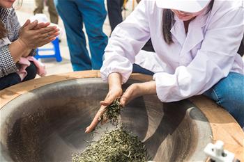 المسابقة لمهارة صناعة الشاي في مدينة تشونغتشينغ
