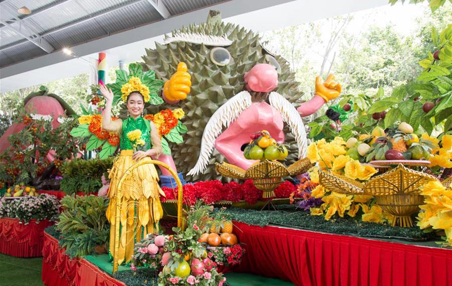 مهرجان الفواكه لجنوبي فيتنام يفتتح في مدينة هوشي منه