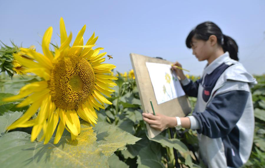 اندماج الزراعة والسياحة يساعد على تنمية الاقتصاد في مدينة نانقونغ بمقاطعة خبي