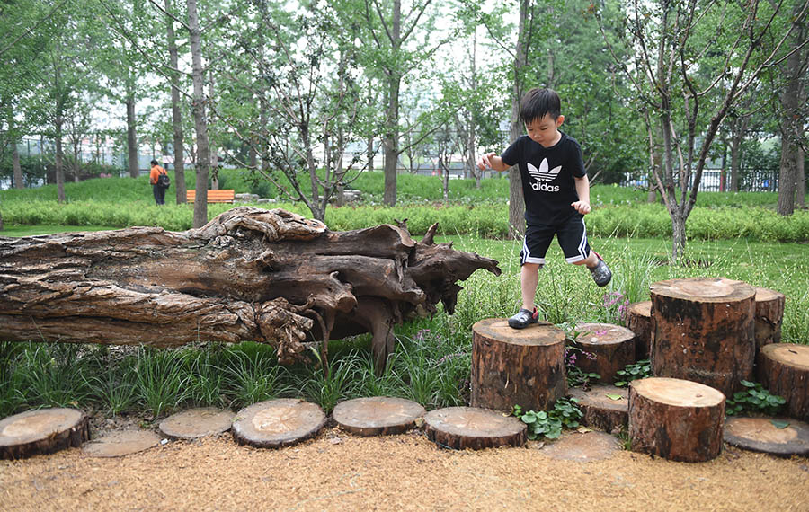 أول حديقة غابات في منطقة دونغتشنغ ببكين عاصمة الصين