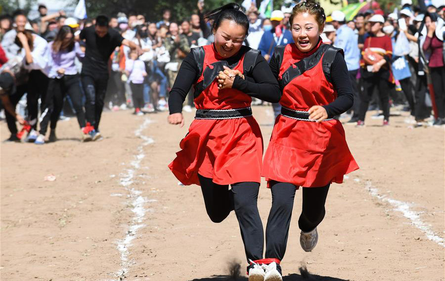 الألعاب الممتعة لاستقبال موسم الحصاد في منطقة منغوليا الداخلية الذاتية الحكم