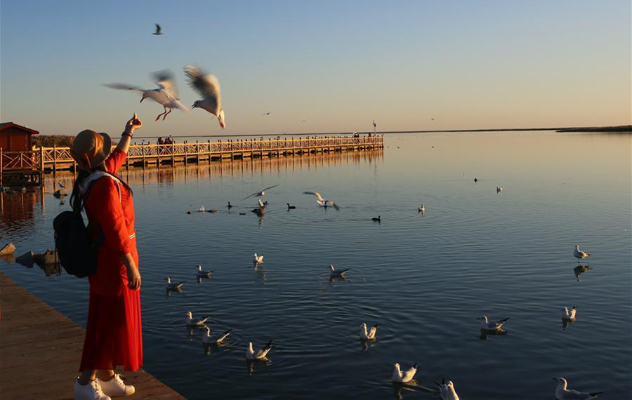 الصين الجميلة: مناظر لبحيرة جويان في منطقة منغوليا الداخلية الذاتية الحكم