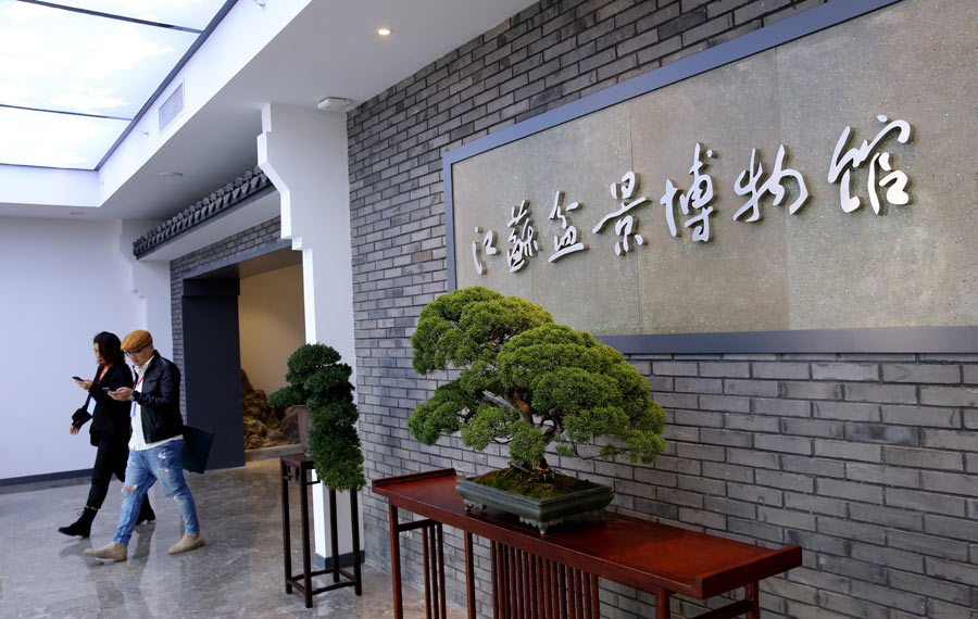 متحف جيانغسو لشجرة البونساي في مدينة روقاو بمقاطعة جيانغسو