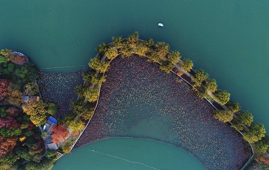 مناظر لبحيرة نيانجيا في حديقة الشهداء في مدينة تشانغشا حاضرة مقاطعة هونان بوسط الصين