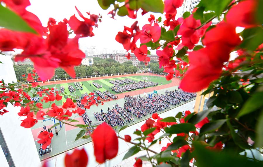 زهور تتفتح في حرم المدرسة في أوائل الشتاء بمنطقة قوانغشي الذاتية الحكم لقومية تشوانغ