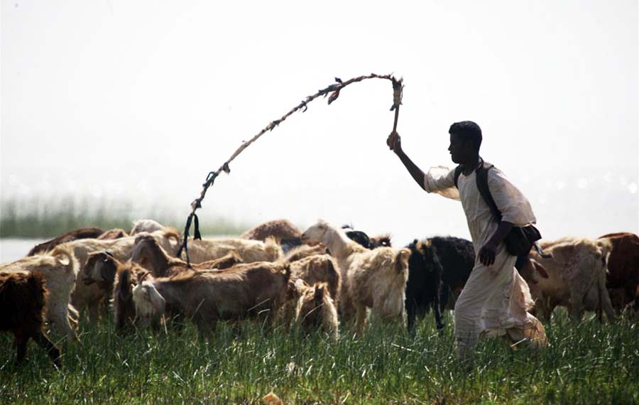 الحياة اليومية للفلاحين في الخرطوم، السودان