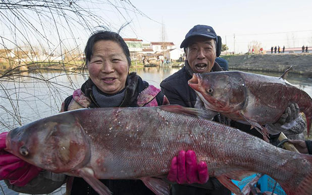 صيد الاسماك في شرقي الصين