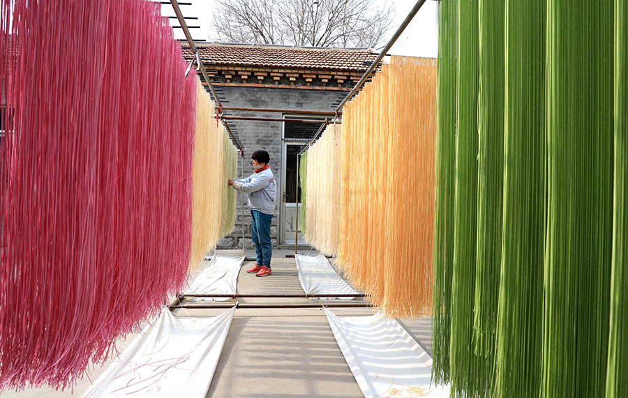 المكرونات الملونة فى ورشة فى مدينة بينتشو بمقاطعة شاندونغ بشرقي الصين