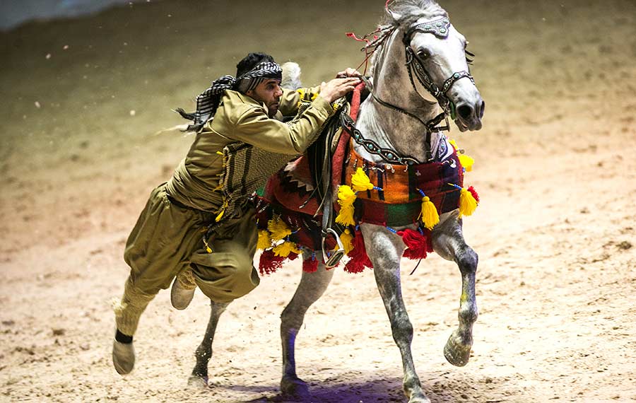 مهرجان الخيول في طهران