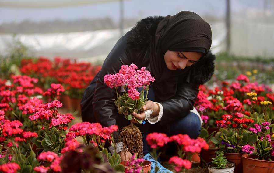 فتاة تزرع الزهور في خان يونس بقطاع غزة
