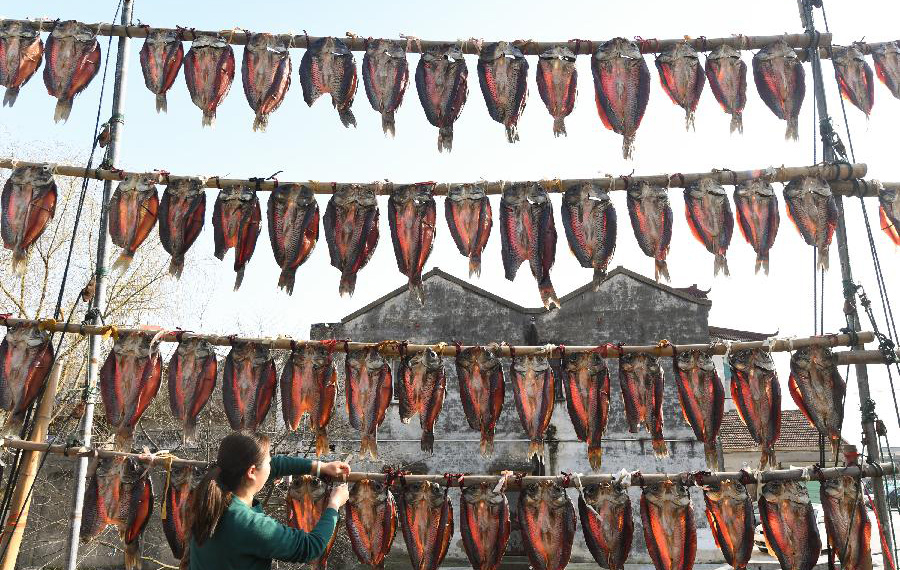 تجفيف الأسماك في مقاطعة تشجيانغ بعد فترة طويلة من الانقطاع المطري