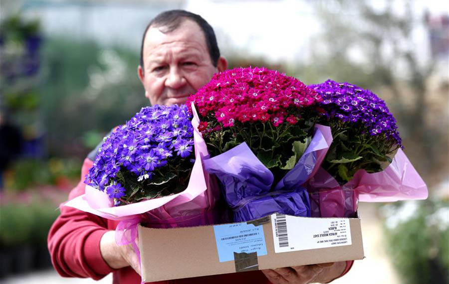 اللبنانيون يختارون الزهور احتفالا بعيد الأم اللبناني