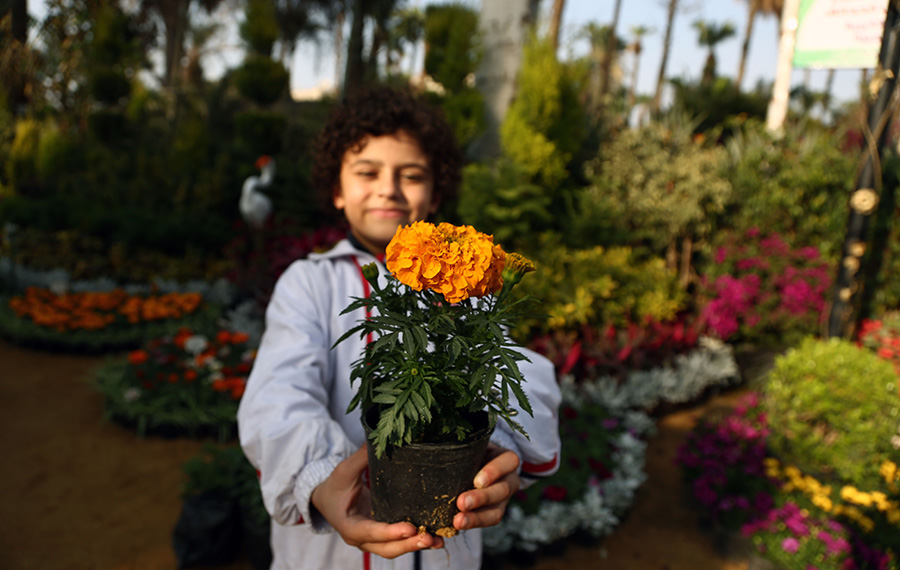 مصر تستقبل فصل الربيع بمعرض للزهور بمشاركة 180 عارض