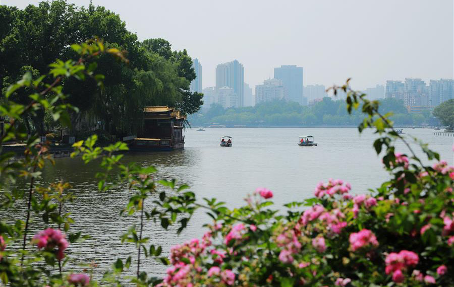 مناظر صيفية لمدينة جينان حاضرة مقاطعة شاندونغ بشرقي الصين