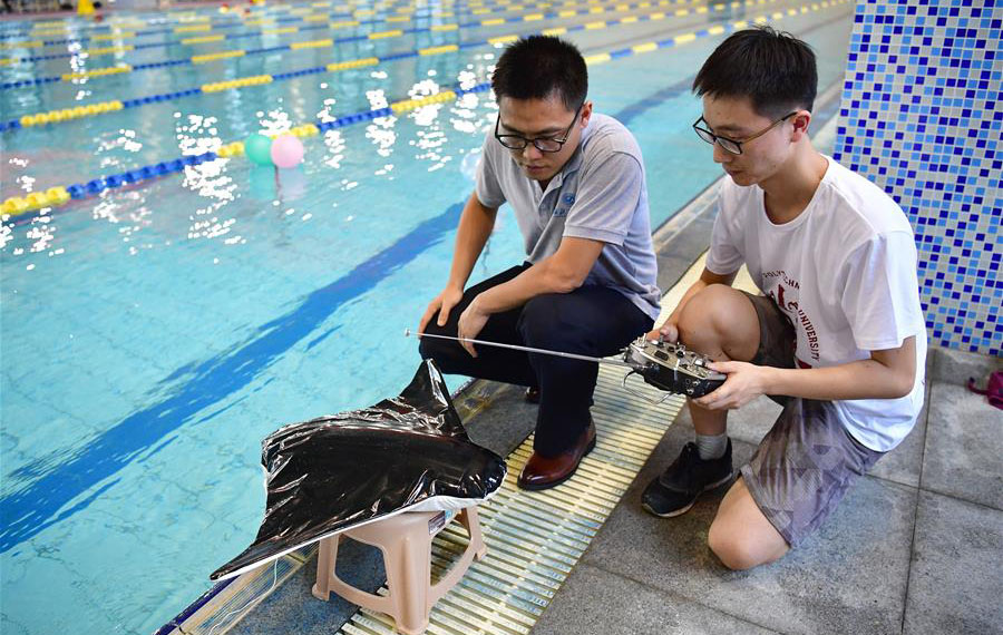 روبوت محاكاة لسمكة الشيطان في شمال غربي الصين