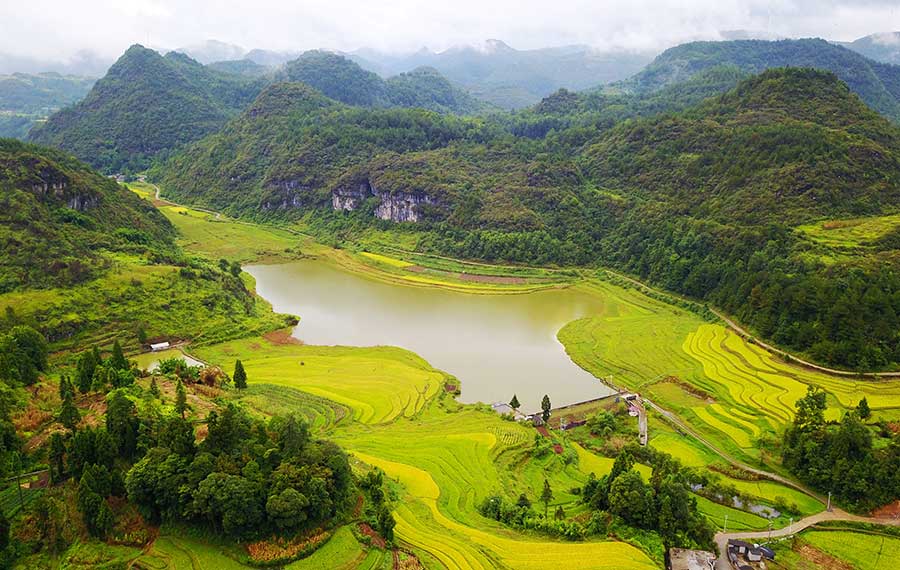 مشهد ريفي في قرية ليوقوانغ في بلدة وانتانخه بمقاطعة قويتشو بجنوب غربي الصين
