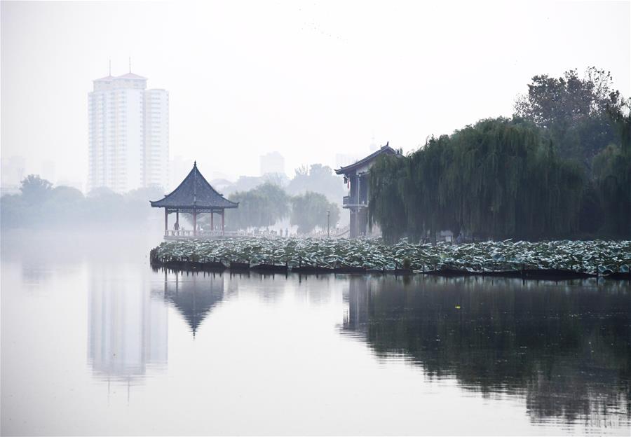 بحيرة دامينغ في ضباب الصباح في مدينة جينان بمقاطعة شاندونغ