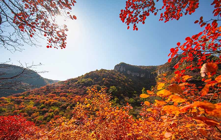 مناظر الخريف الملونة لجبال تايهانغ