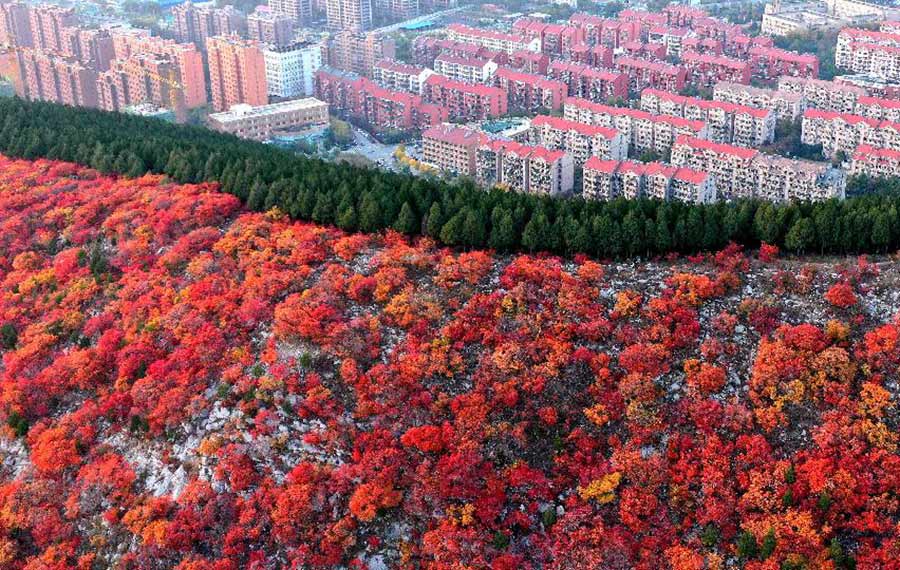 مناظر الخريف لجبال شيه تسي بمقاطعة شانغدونغ