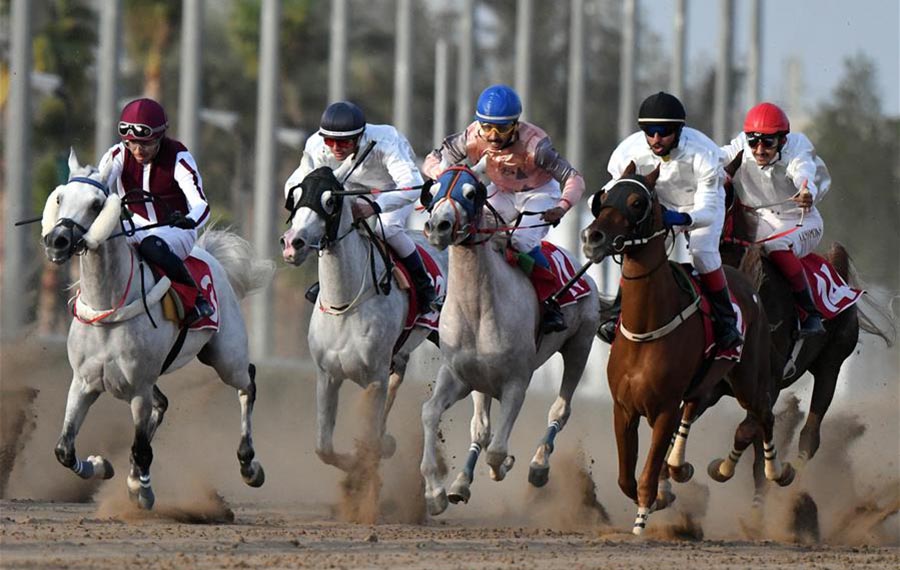 انطلاق سباق الخيل في محافظة مبارك الكبير الكويتية