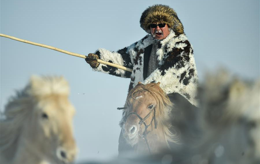 تدريب الخيول في المروج المغطاة بالثلوج بشمالي الصين