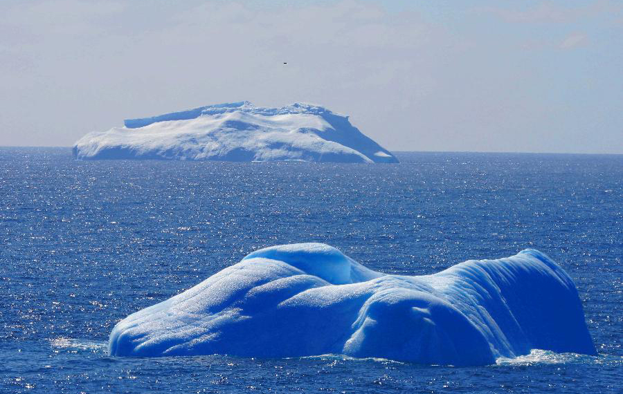 الجبل الجليدي والحوت في بحر ويديل في قطب جنوبي