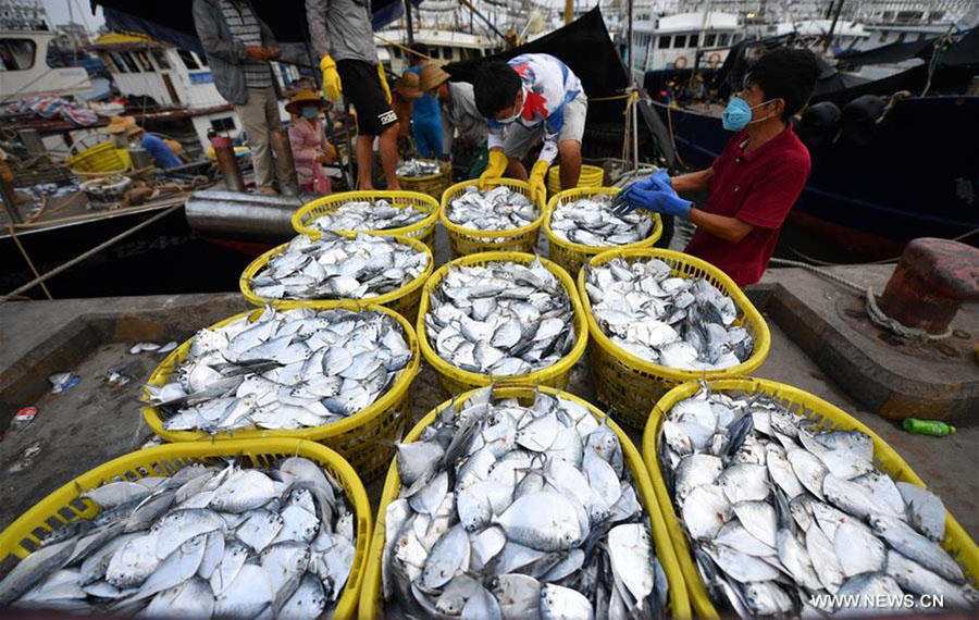 استئناف أعمال صيد الأسماك جنوبي الصين