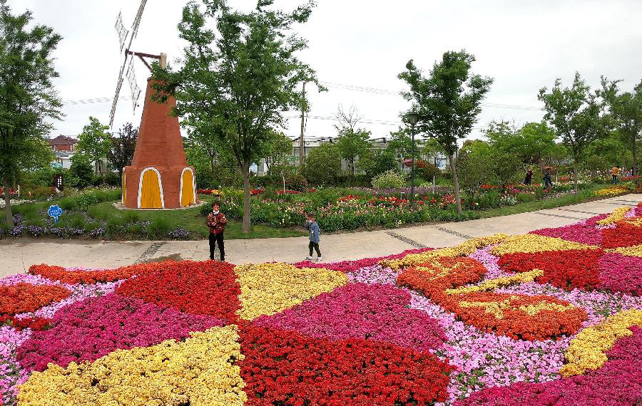 افتتاح معرض الزهور في شانغهاي