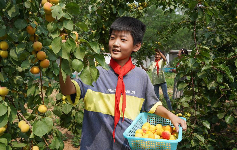 نقل محاضرة حول العمل الى مزرعة ميدانية في مدرسة ابتدائية بشمالي الصين