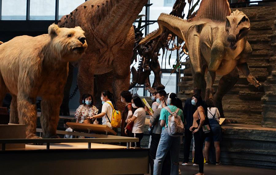 تزايد الزيارات الأسرية لمتحف في شانغهاي بحلول العطلة الصيفية وسط التدابير الوقائية