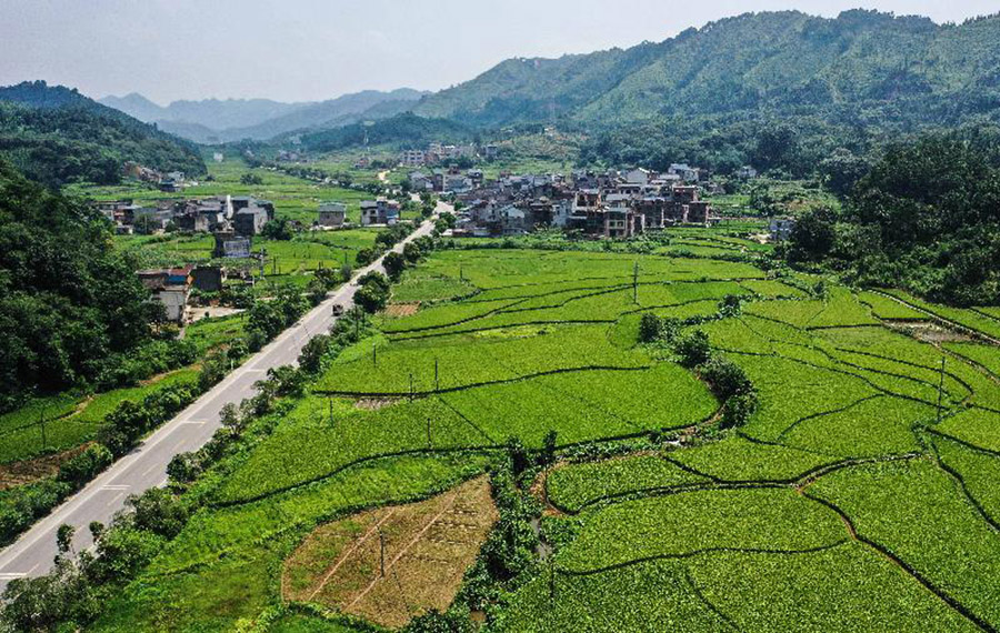 مناظر ريفية في منطقة قوانغشي جنوبي الصين