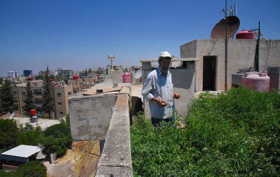 مقالة خاصة: سوريون يلجأون لزراعة الخضروات على أسطح المنازل لتحقيق الاكتفاء الذاتي