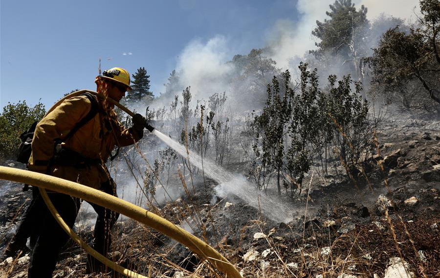 حرائق غابات في ولاية كاليفورنيا، الولايات المتحدة
