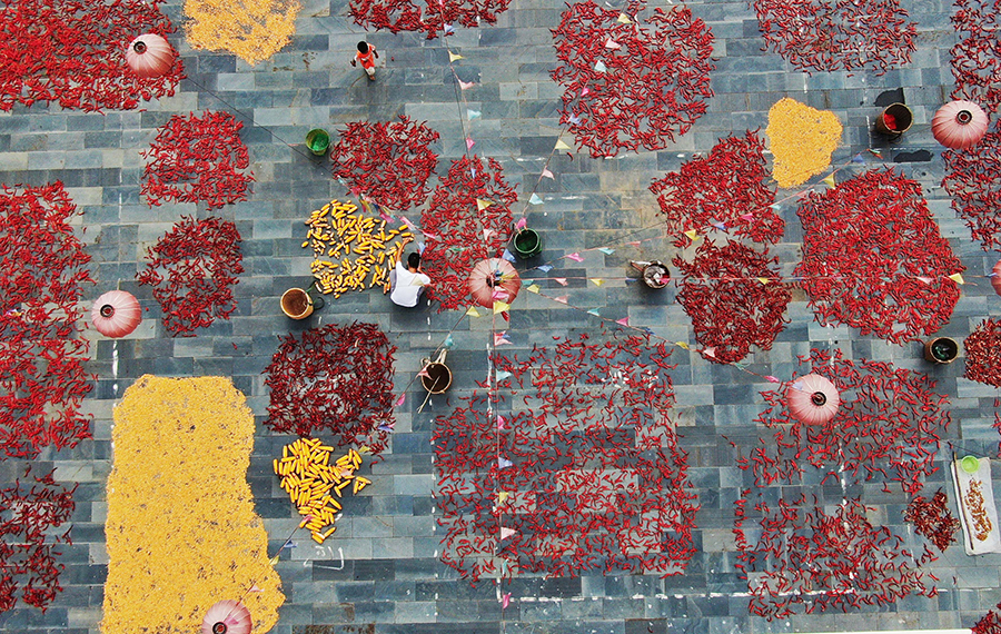 تجفيف منتجات زراعية خلال الخريف بجنوب غربي الصين