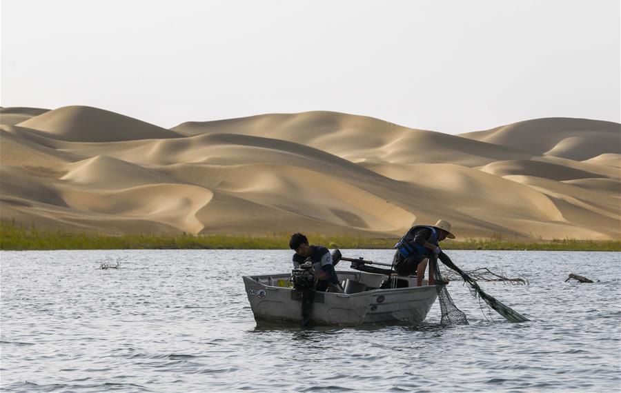 صيد السرطان في بحيرة داخل الصحراء في شمالي الصين