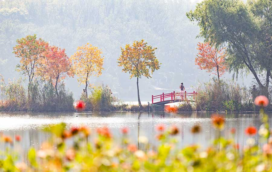 المناظر الجميلة لمدينة نانجينغ بمقاطعة جيانغسو