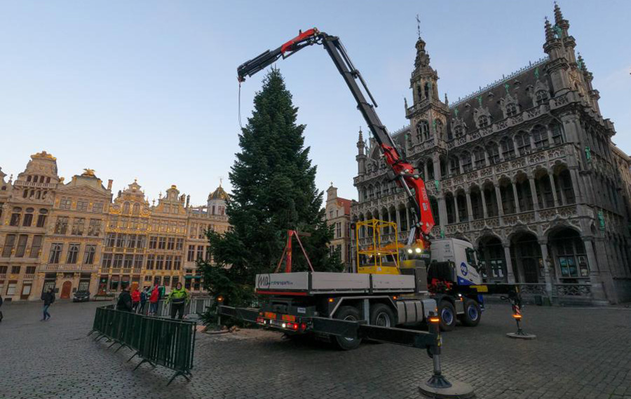 تركيب شجرة عيد الميلاد في الميدان الكبير في مدينة بروكسل، بلجيكا