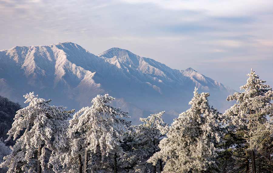 المناظر الثلجية لجبال هوه شان بمقاطعة آنهوي بشرق الصين