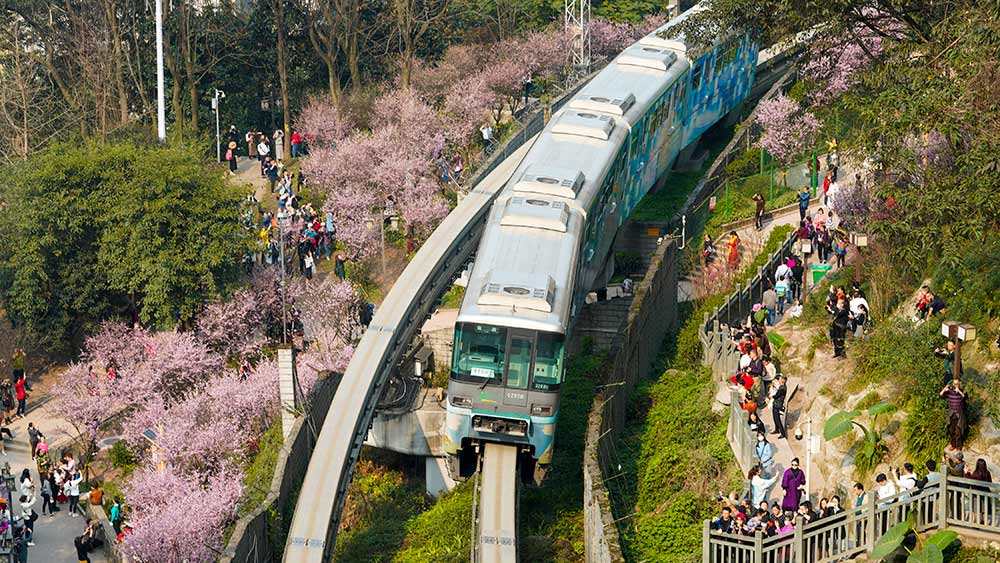 قطار يسير في الربيع في جنوب غربي الصين