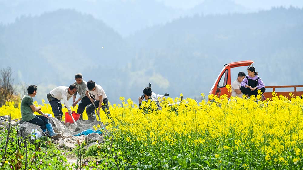أعمال زراعية في جنوب غربي الصين
