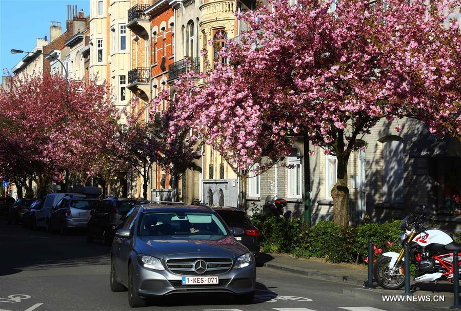 BELGIUM-BRUSSELS-NATURE