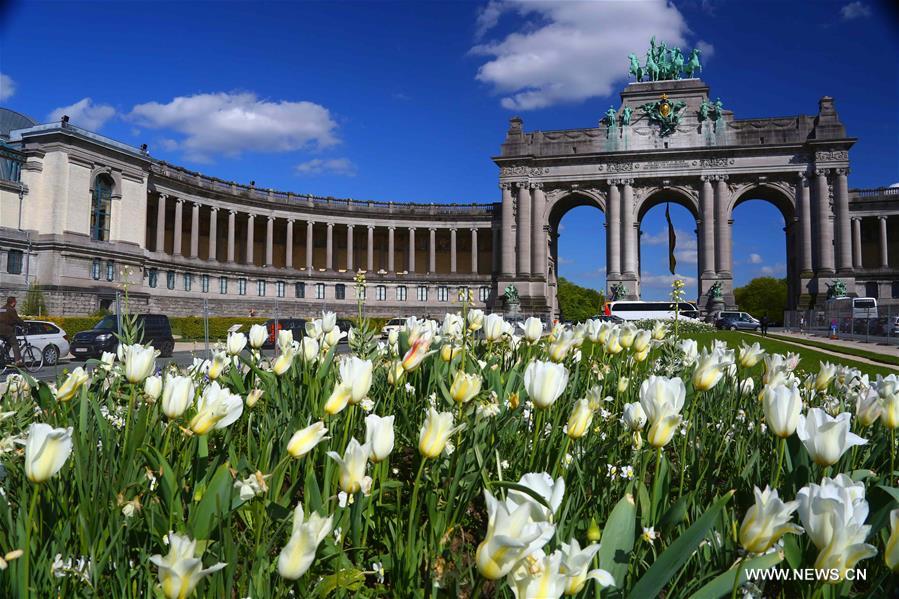 BELGIUM-BRUSSELS-NATURE