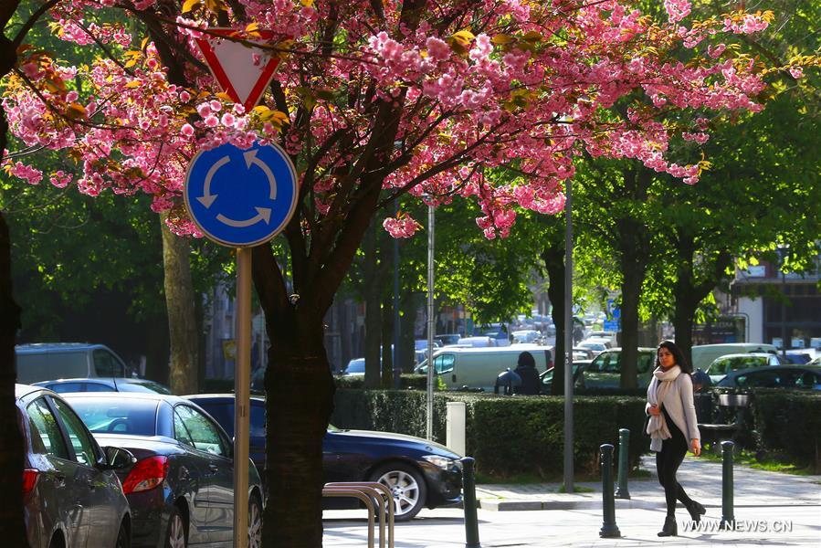 BELGIUM-BRUSSELS-NATURE