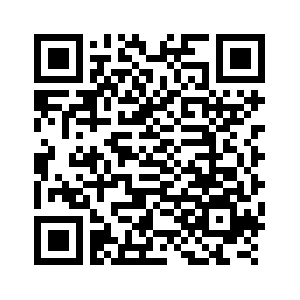 (وسائط متعددة) مقتل 15 جنديا تايلانديا في اشتباكات على الحدود بين تايلاند وكمبوديا