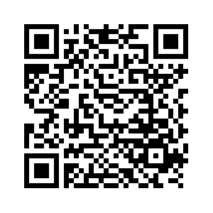 (وسائط متعددة) مصرع 6 أشخاص على الأقل بتحطم طائرة صغيرة وسط المكسيك