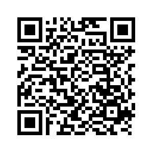 (وسائط متعددة) ارتفاع تجارة الخدمات في الصين بنسبة 7.1 بالمئة خلال أول 11 شهرا من العام الجاري