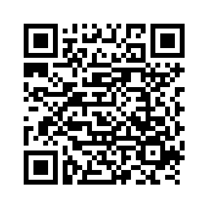 (وسائط متعددة) إصابة نحو 570 شخصا خلال احتفالات ليلة رأس السنة