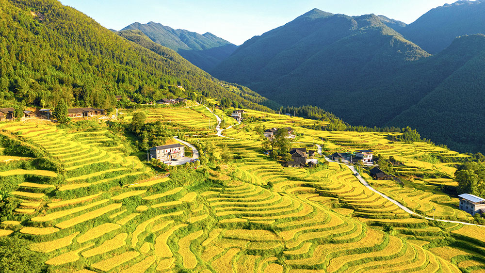 الحقول المدرجة في قرية جبلية بوسط الصين